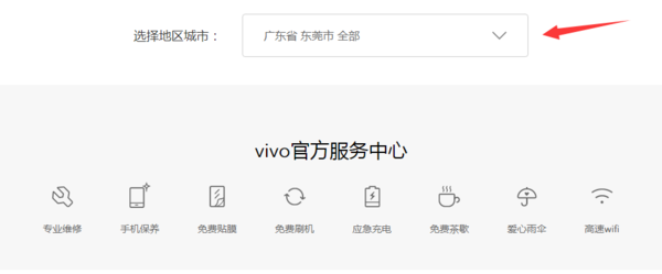 请问vivoY55L手机型号是多少寸的啊