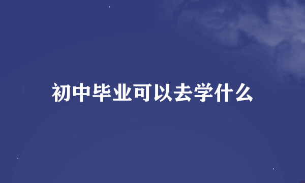 初中毕业可以去学什么