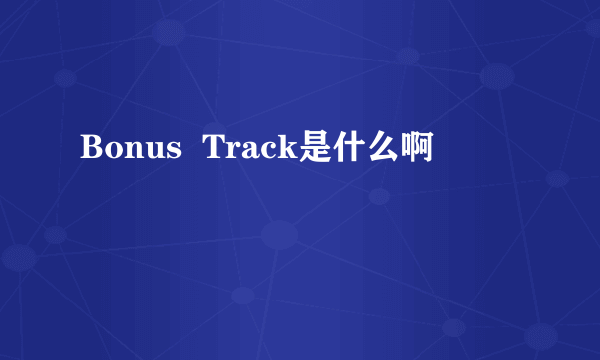 Bonus  Track是什么啊