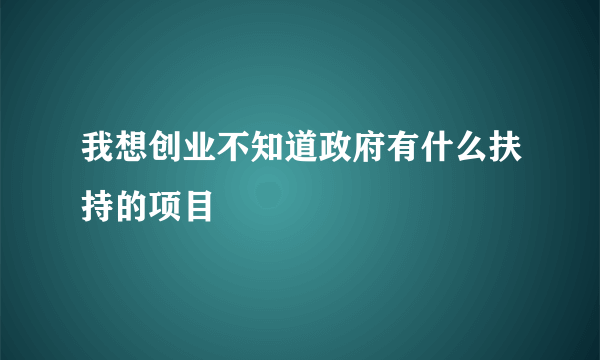 我想创业不知道政府有什么扶持的项目