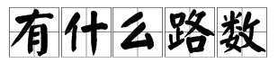 “有什么路数”是什么意思？