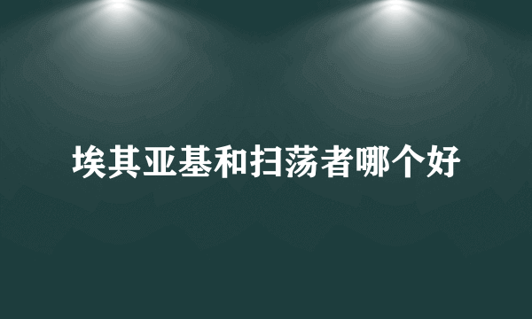 埃其亚基和扫荡者哪个好
