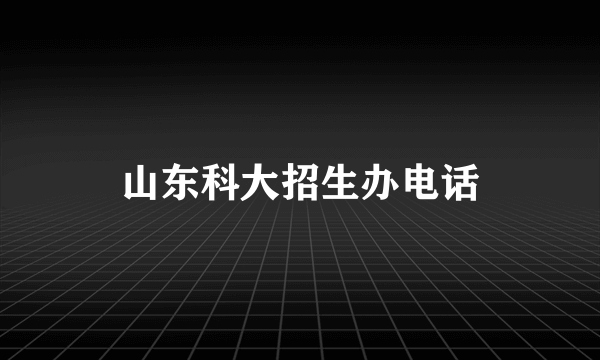 山东科大招生办电话