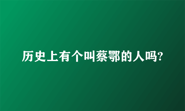 历史上有个叫蔡鄂的人吗?