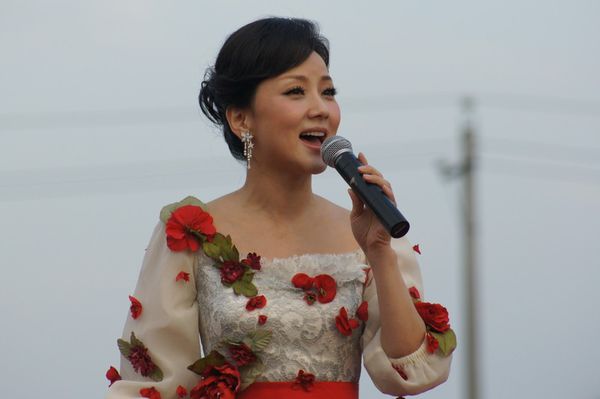 歌词中有雪莲花的歌曲