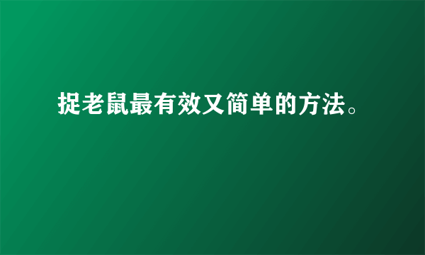 捉老鼠最有效又简单的方法。