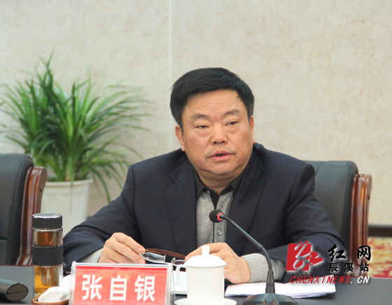 张自银的人物履历