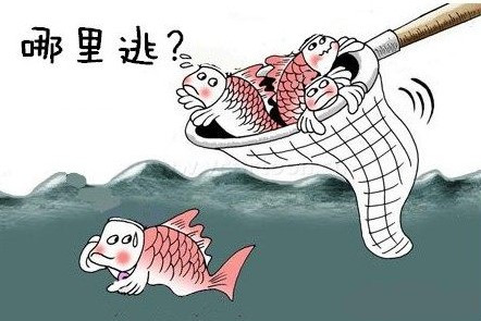 素质教育漏网之鱼网络意思