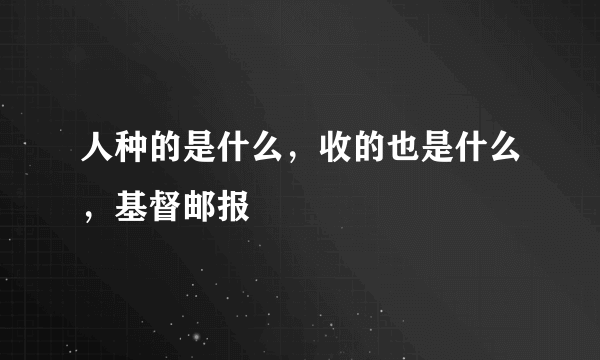 人种的是什么，收的也是什么，基督邮报