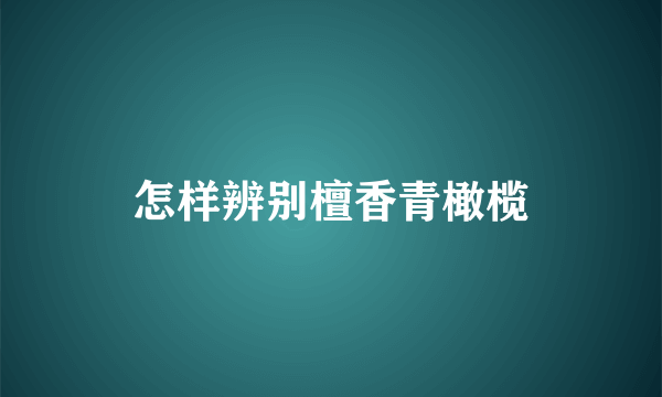 怎样辨别檀香青橄榄