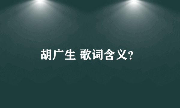 胡广生 歌词含义？