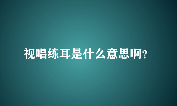 视唱练耳是什么意思啊？