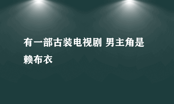 有一部古装电视剧 男主角是赖布衣