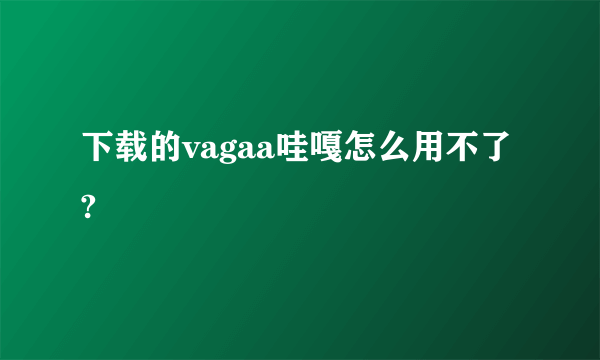 下载的vagaa哇嘎怎么用不了?