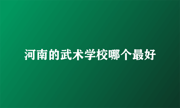 河南的武术学校哪个最好