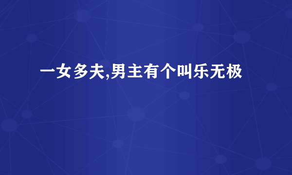 一女多夫,男主有个叫乐无极