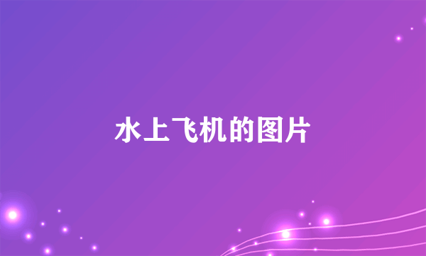 水上飞机的图片