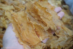 鳕鱼胶的功效及吃法