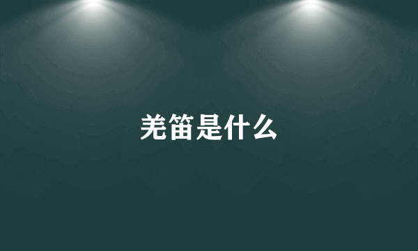 羌笛是什么
