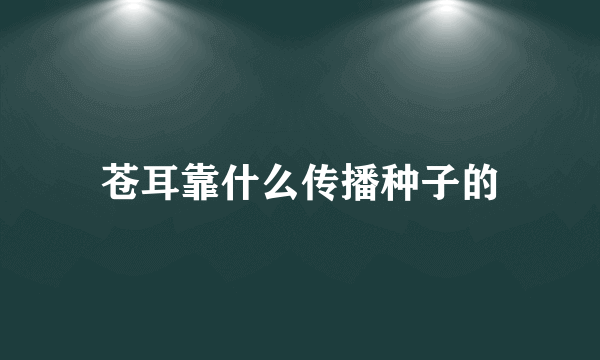 苍耳靠什么传播种子的