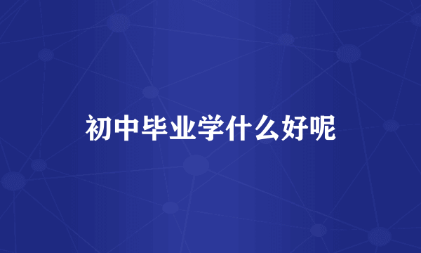 初中毕业学什么好呢