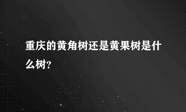 重庆的黄角树还是黄果树是什么树？