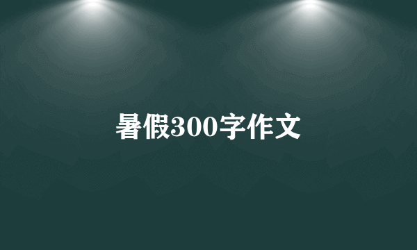 暑假300字作文