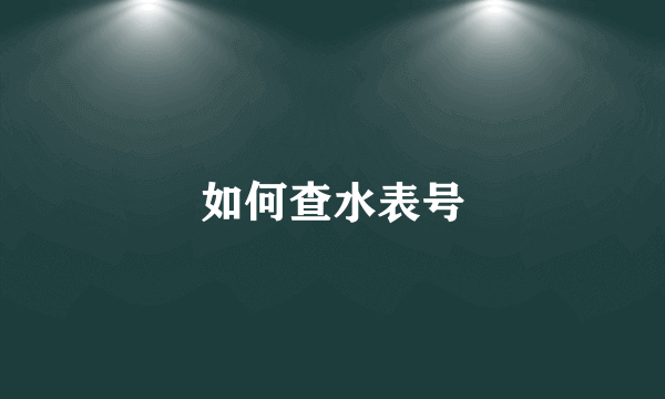 如何查水表号