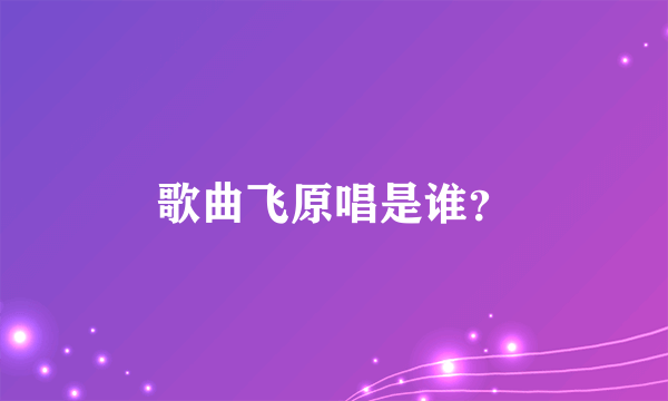 歌曲飞原唱是谁？