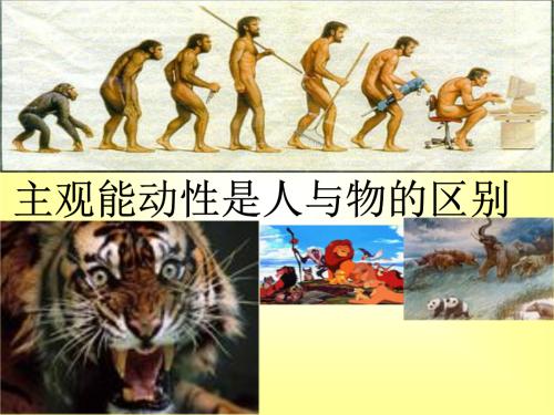 个体主观能动性在人的身心发展中的作用表现在哪几个方面