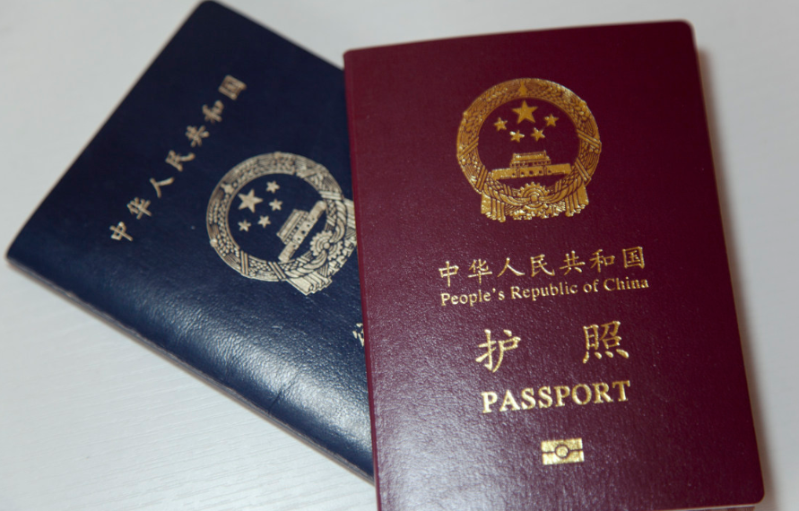 护照类型 P 是属于啥类护照？