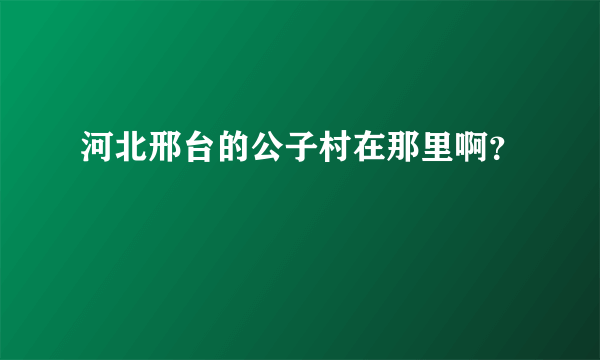 河北邢台的公子村在那里啊？