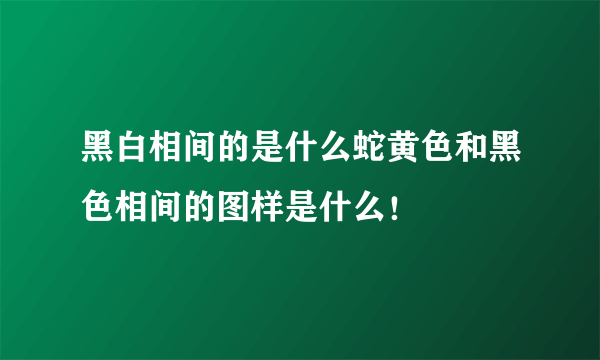 黑白相间的是什么蛇黄色和黑色相间的图样是什么！