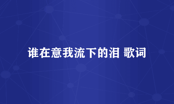 谁在意我流下的泪 歌词