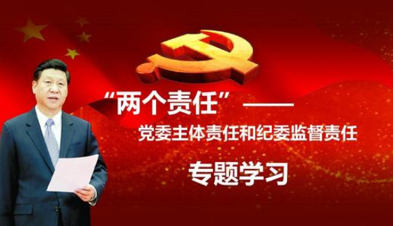 如何抓好两个责任落实的对策及建议