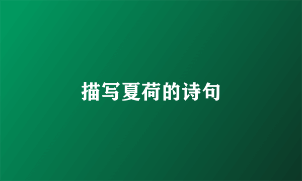 描写夏荷的诗句