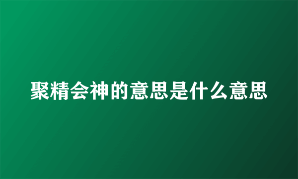 聚精会神的意思是什么意思