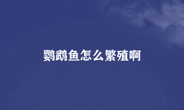 鹦鹉鱼怎么繁殖啊