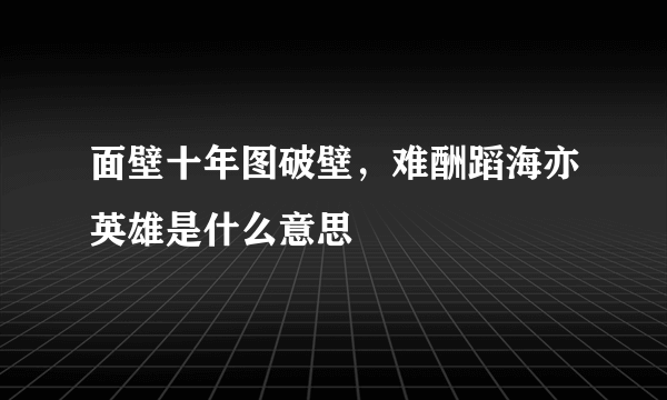 面壁十年图破壁，难酬蹈海亦英雄是什么意思