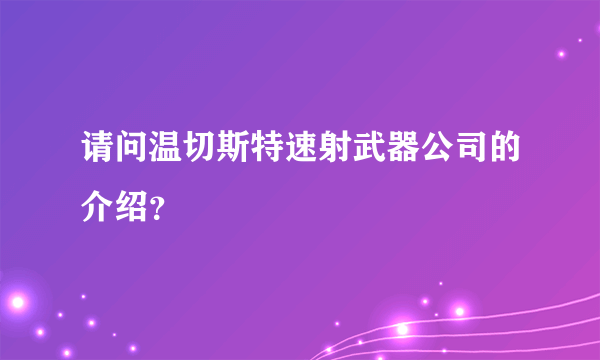 请问温切斯特速射武器公司的介绍？