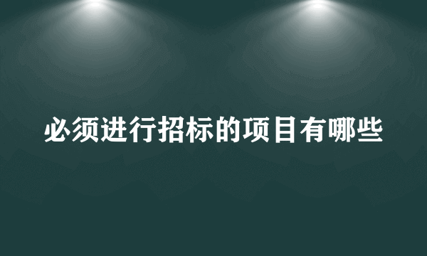 必须进行招标的项目有哪些