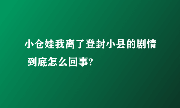 小仓娃我离了登封小县的剧情 到底怎么回事?