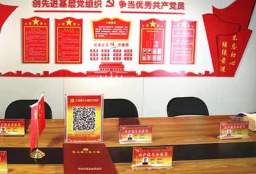 党员双提升提升哪些方面