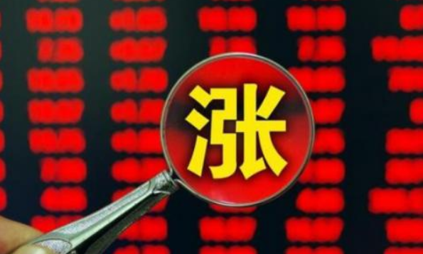 蓝筹股、白马股、黑马股的含义和特点分别是什么？