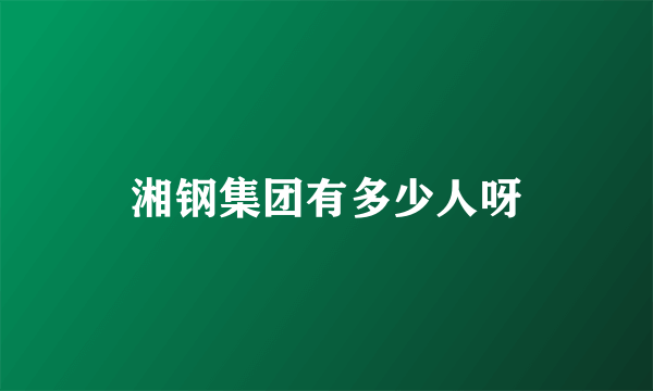 湘钢集团有多少人呀