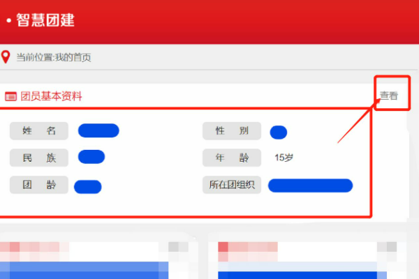 手机上怎么查自己是不是团员