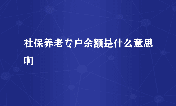 社保养老专户余额是什么意思啊