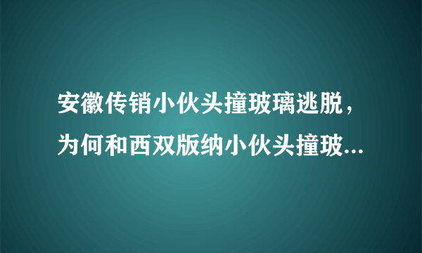 安徽传销小伙头撞玻璃逃脱，为何和西双版纳小伙头撞玻璃图片一样
