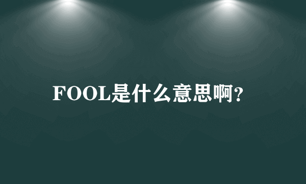 FOOL是什么意思啊？