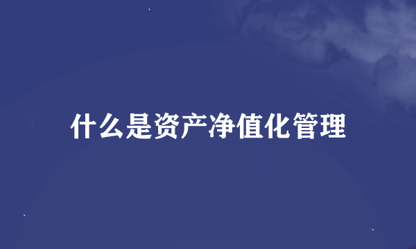 什么是资产净值化管理